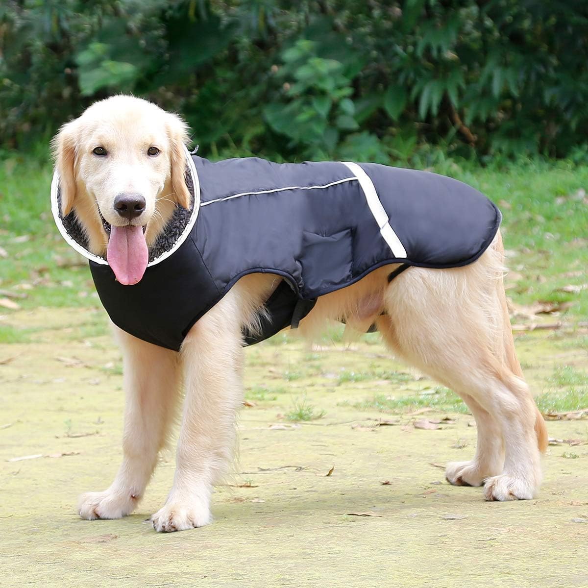 Reflektierende, wasserdichte Hundejacke mit Rollkragen, Schwarz Medium(Pack of 1)