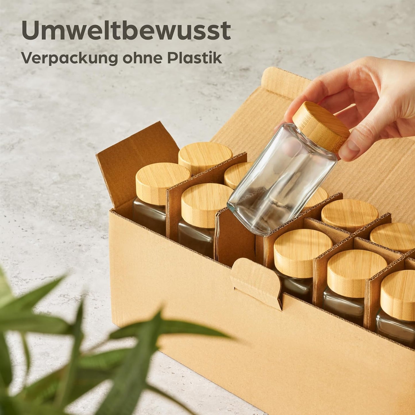 Gewürzgläser, 12er Set