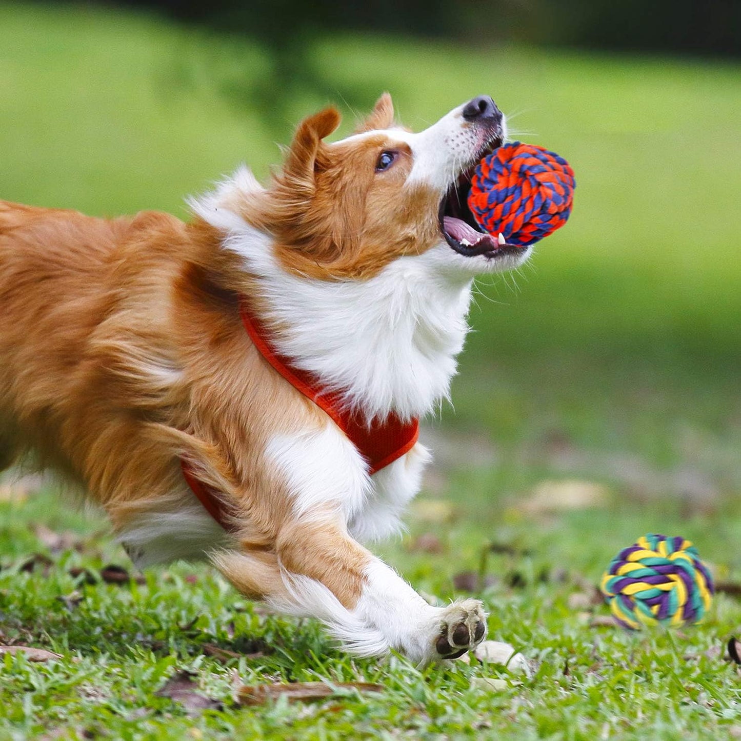 9-teiliges Zerr- und Kauspielzeug-Set für grosse Hunde, For Large Dogs 9 Stück, mehrfarbig