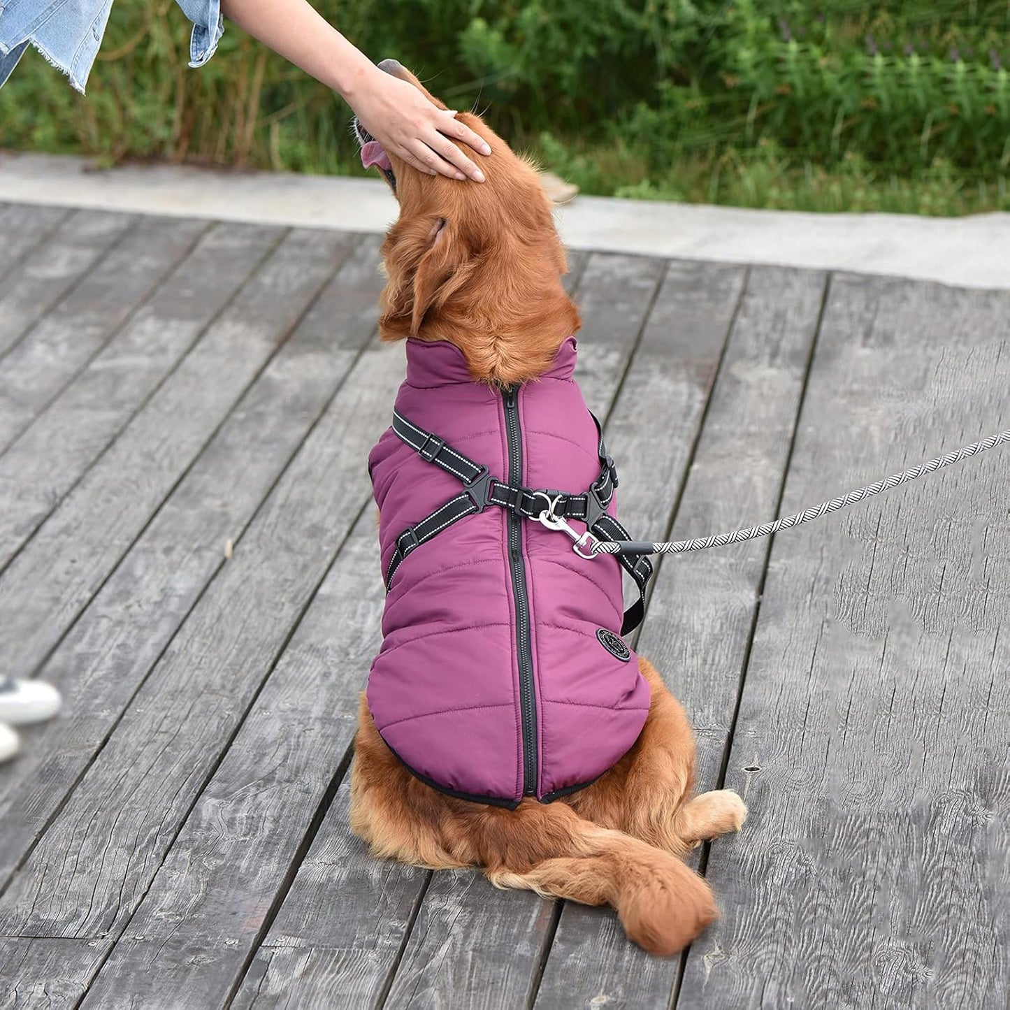 Ärmellose Hundeweste, 4XL Lila