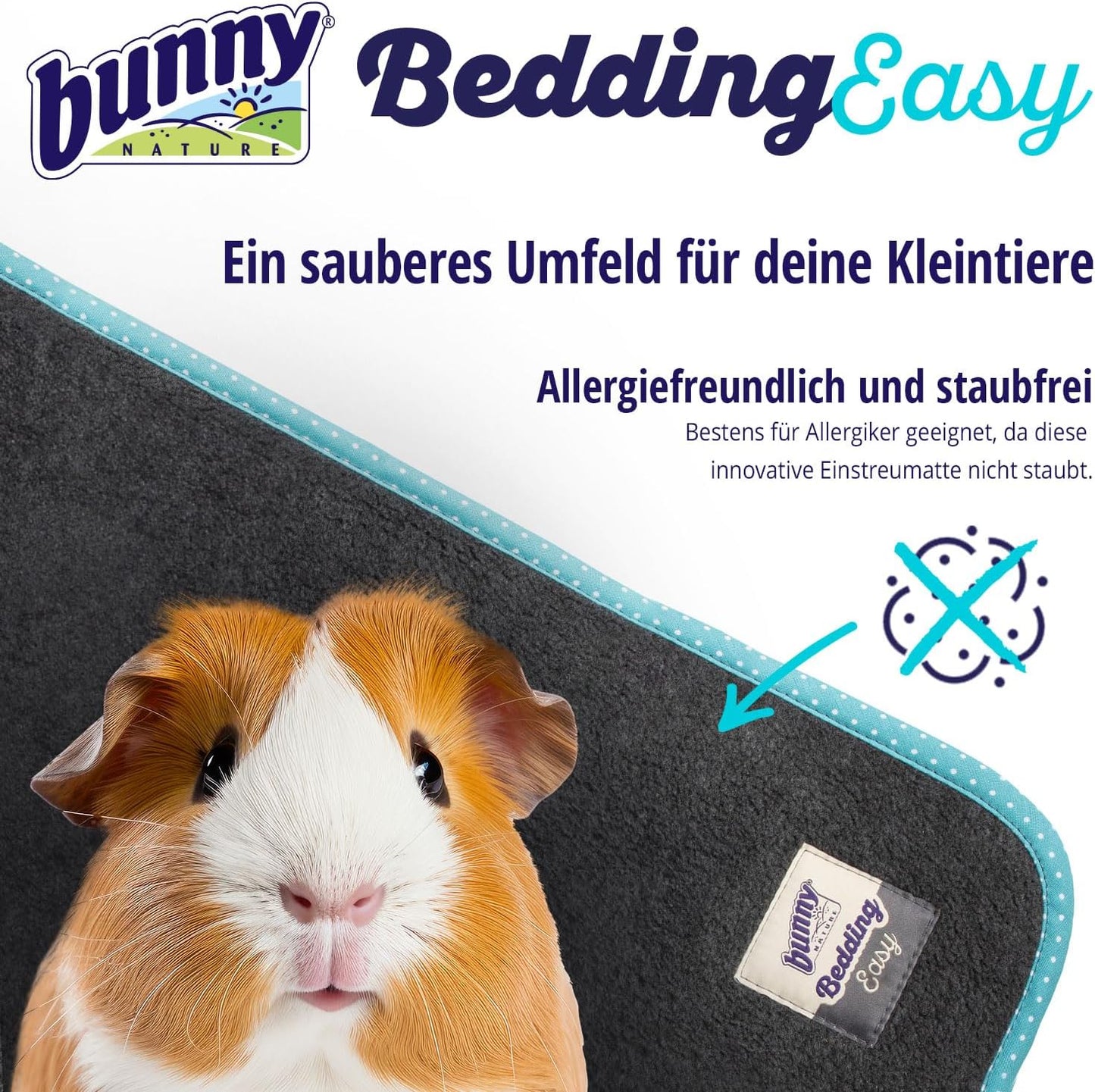 Easy, Türkis