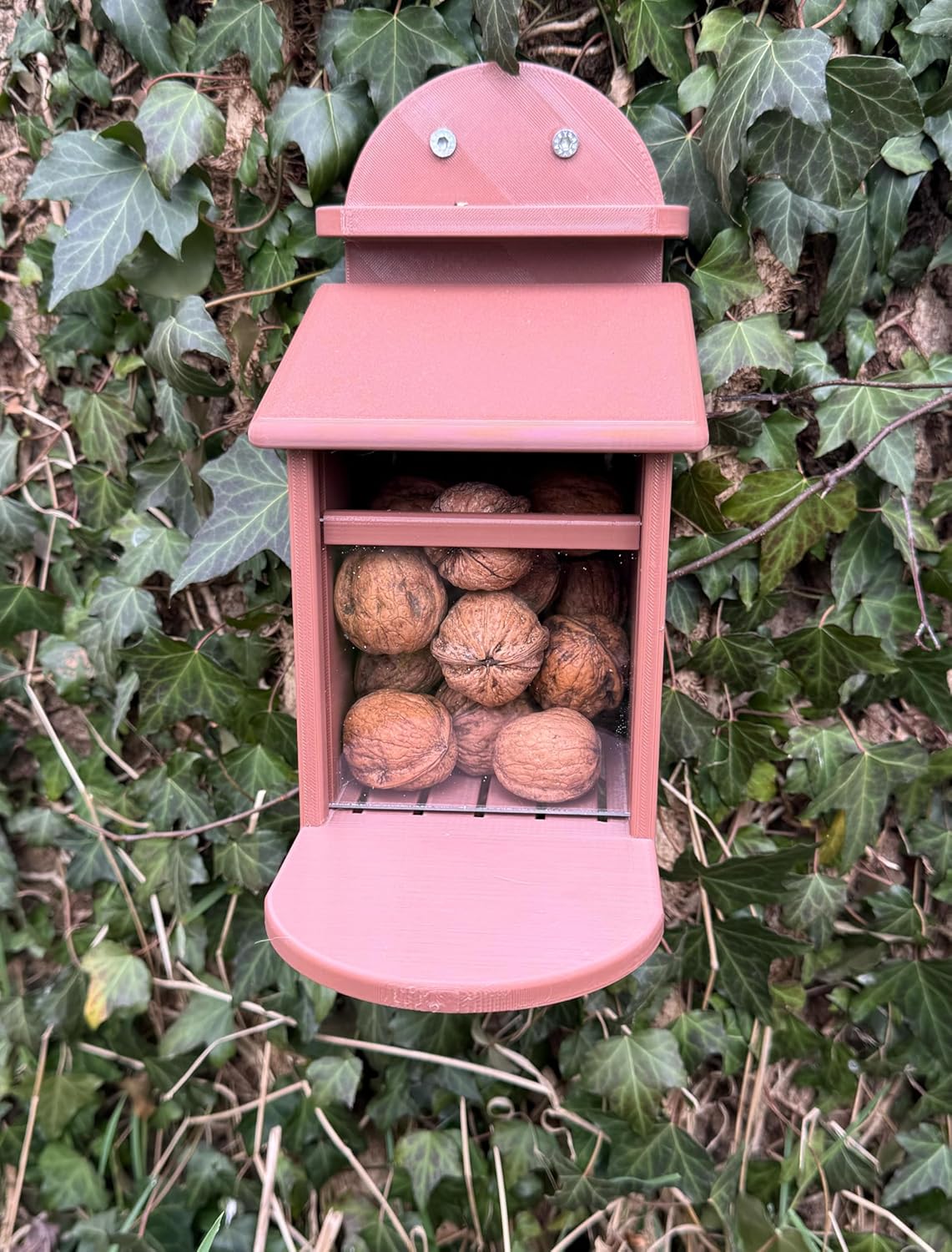 Eichhörnchen Futterstation, Braun