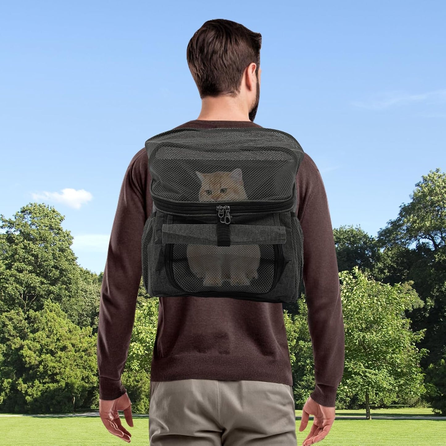 Transporttasche für Haustiere, Grau