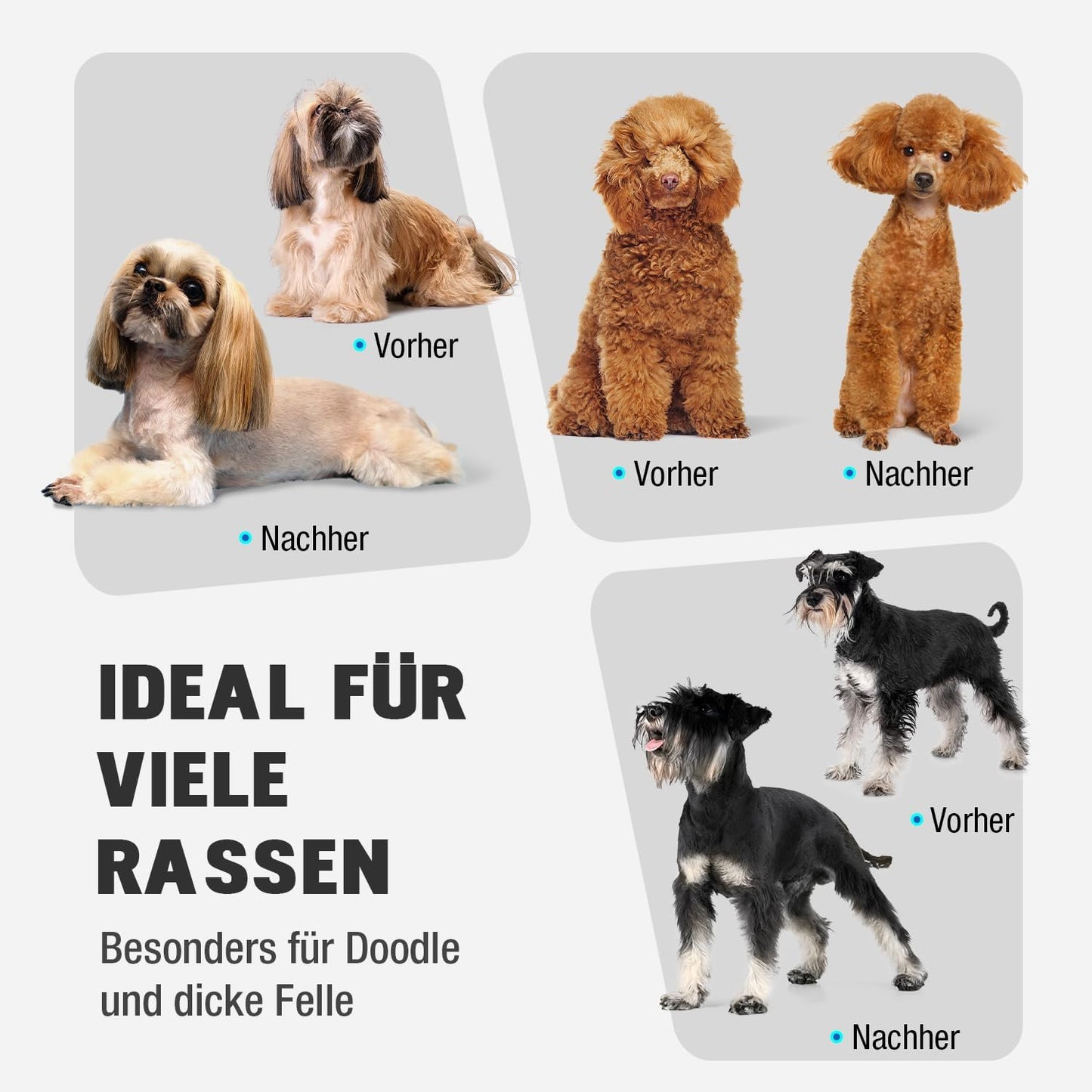 Hundeschermaschine mit Ersatzklinge und Aufsteckkämmen, Silber