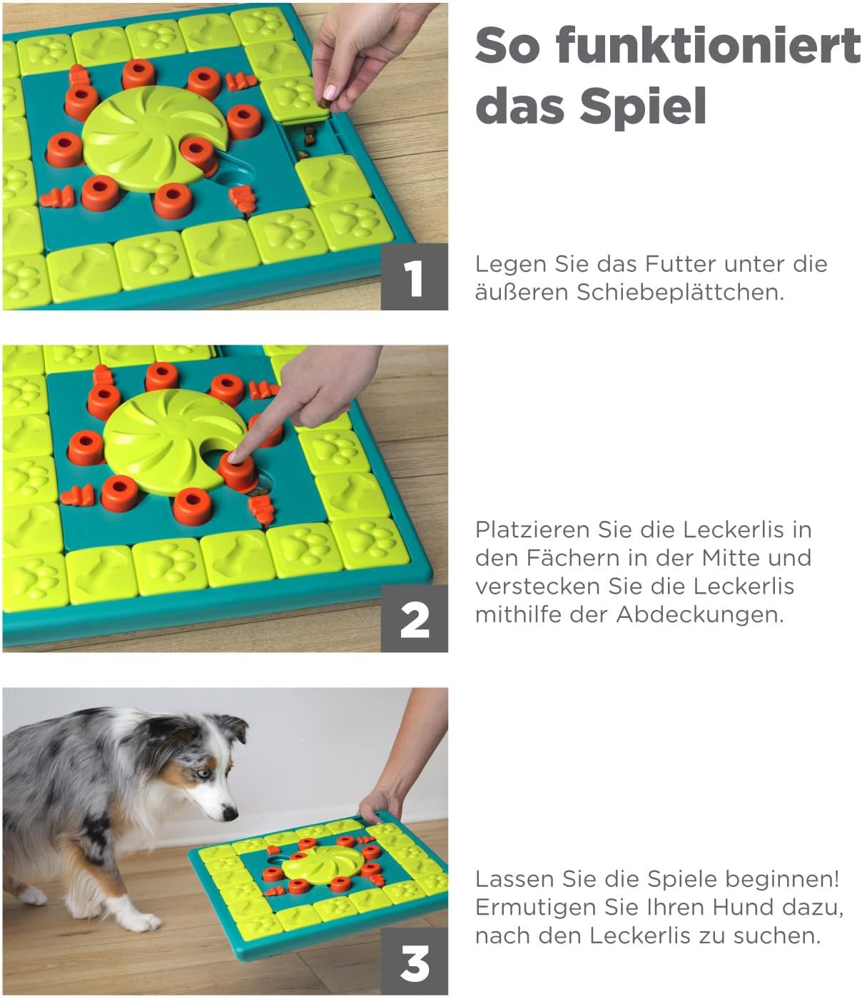 Multipuzzle, Multipuzzle