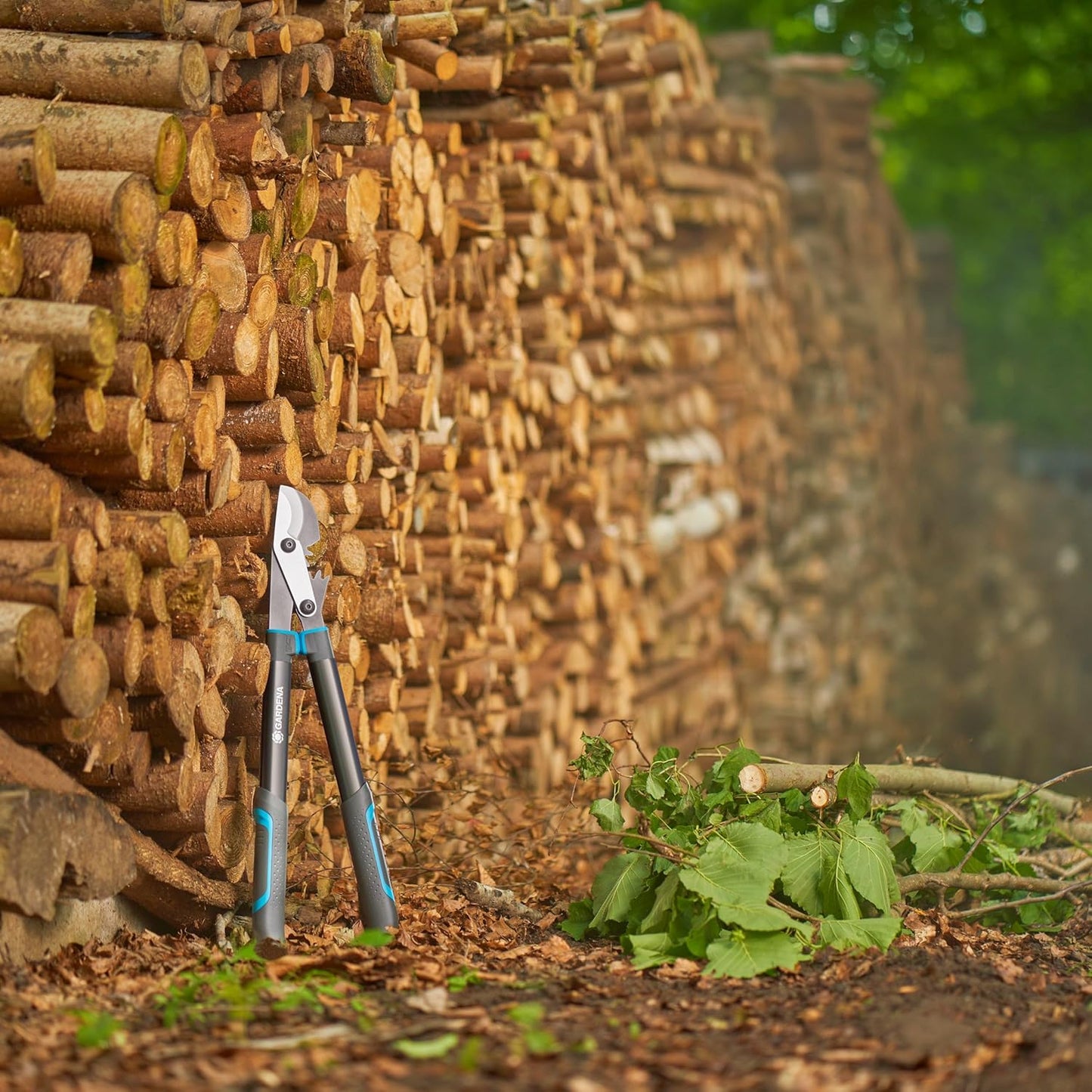 EnergyCut Pro S Astschere, Länge 60cm Frisches Holz Ast Ø 5cm