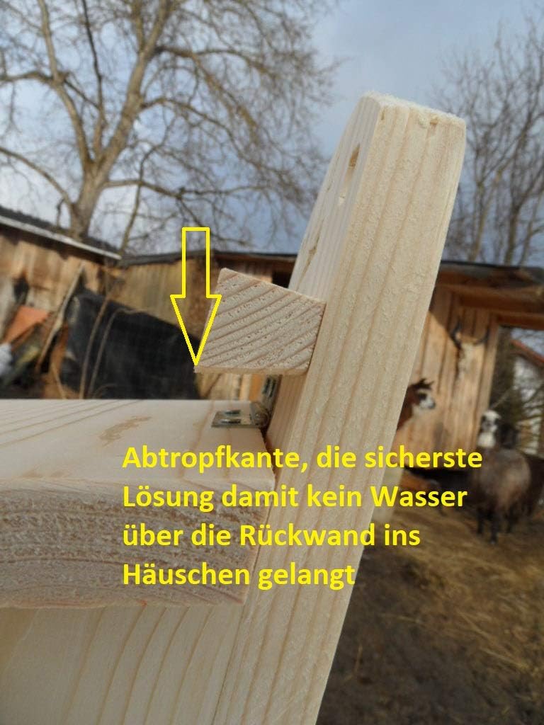 Eichhörnchen Futterhaus, Natur unbehandelt