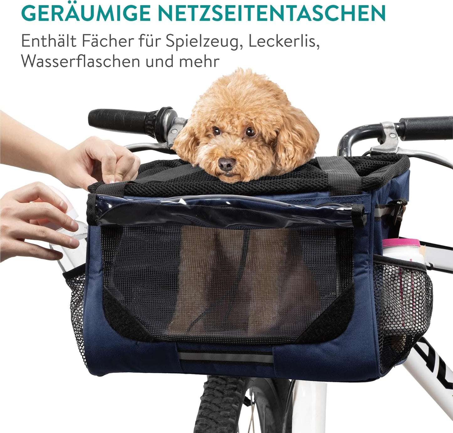 Hundevelokorb für Lenker, Blau