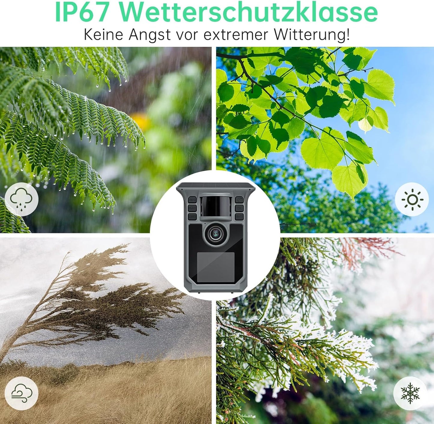4K Wildkamera mit Bewegungsmelder und Nachtsicht