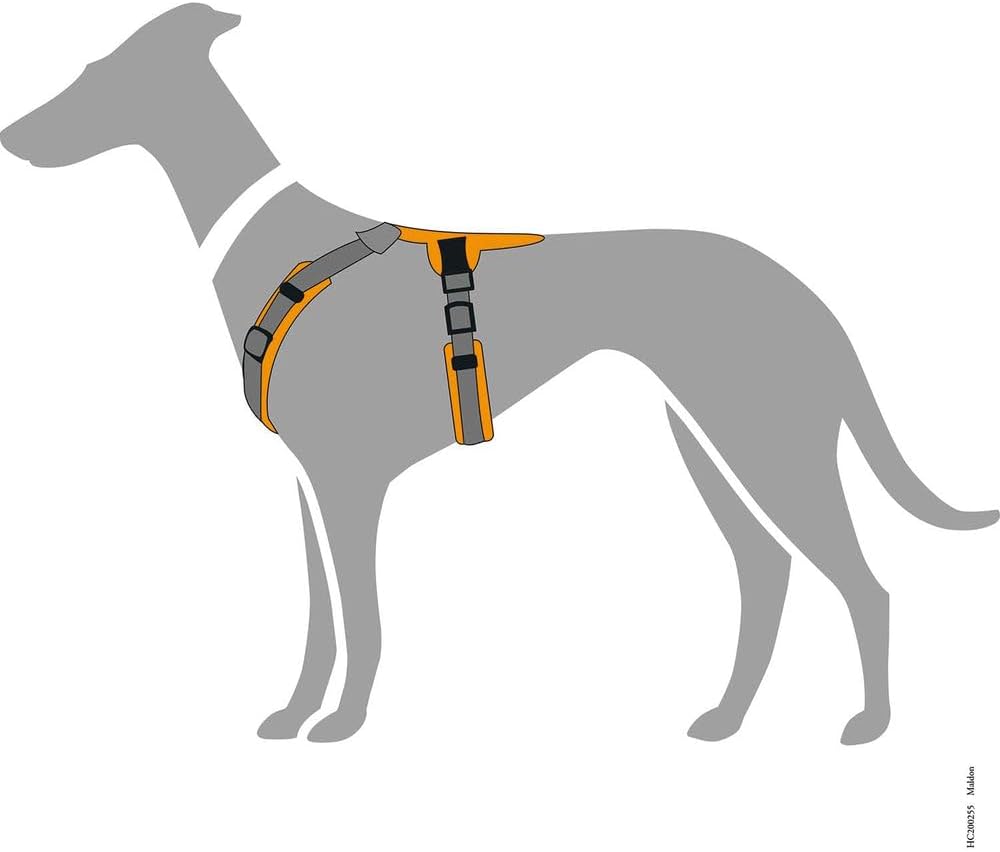 Hundegeschirr Maldon UP, oliv/grau XS