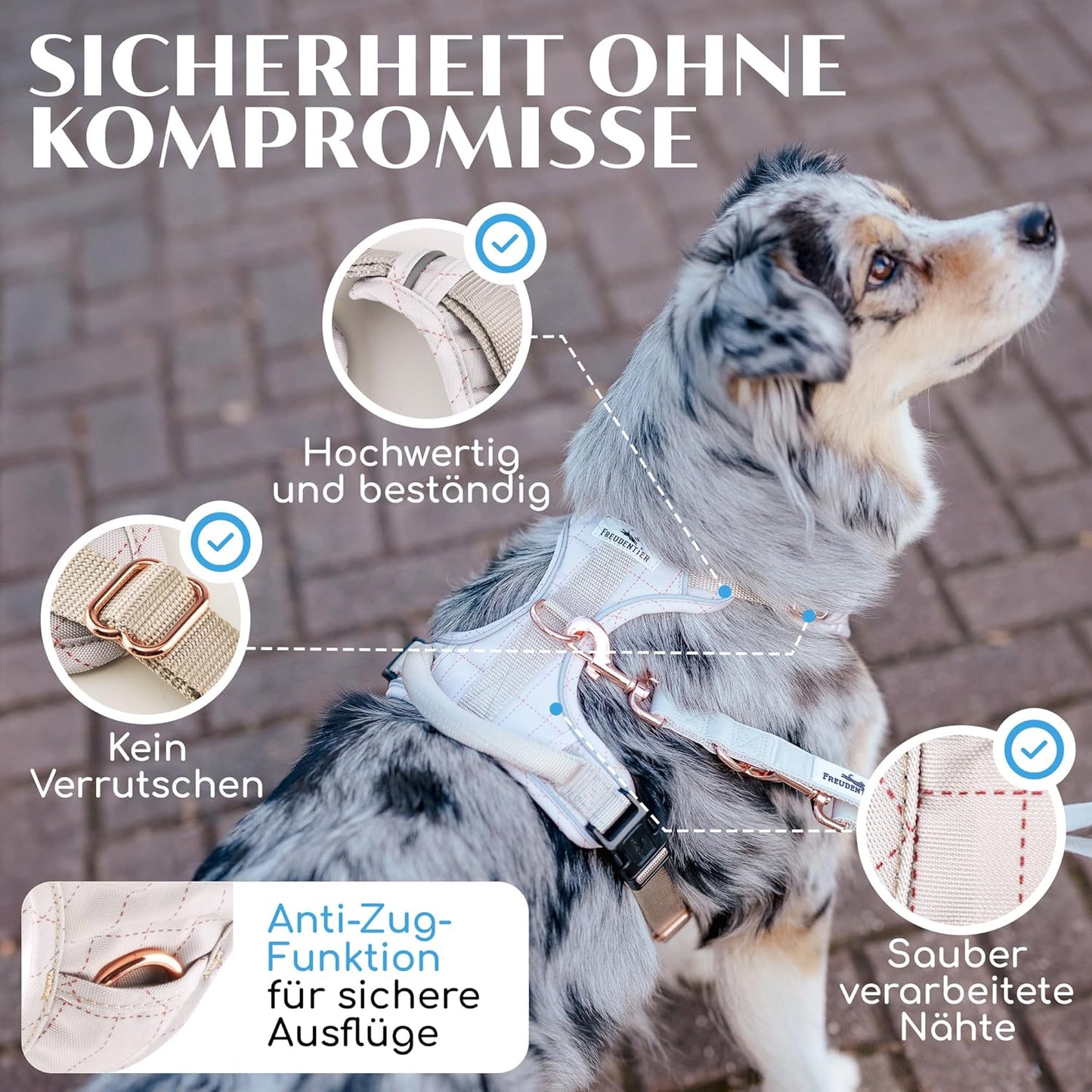 Hundegeschirr, L