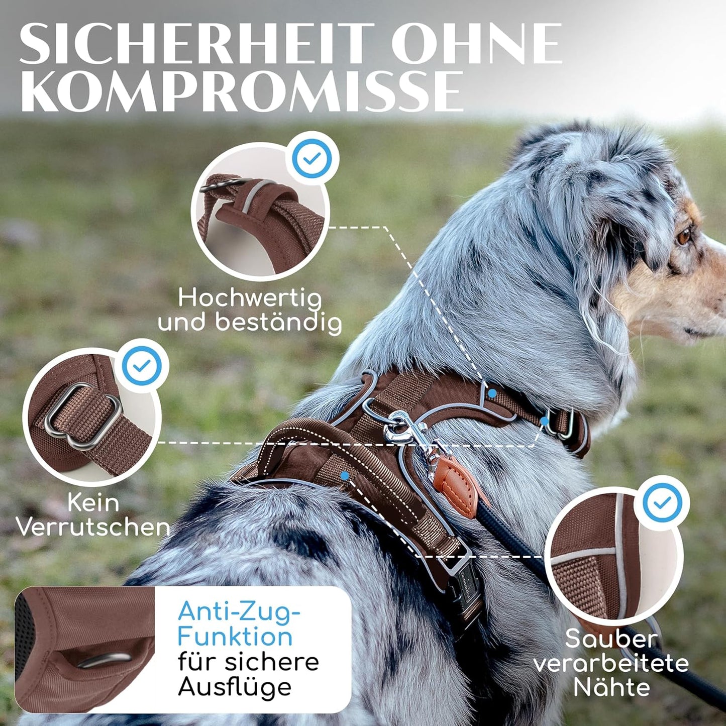 Gepolstertes Hundegeschirr mit Griff, M Braun
