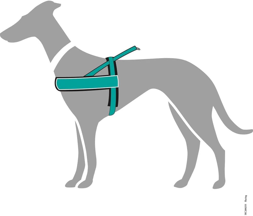 Racing Norwegergeschirr für Hunde, petrol/schwarz S