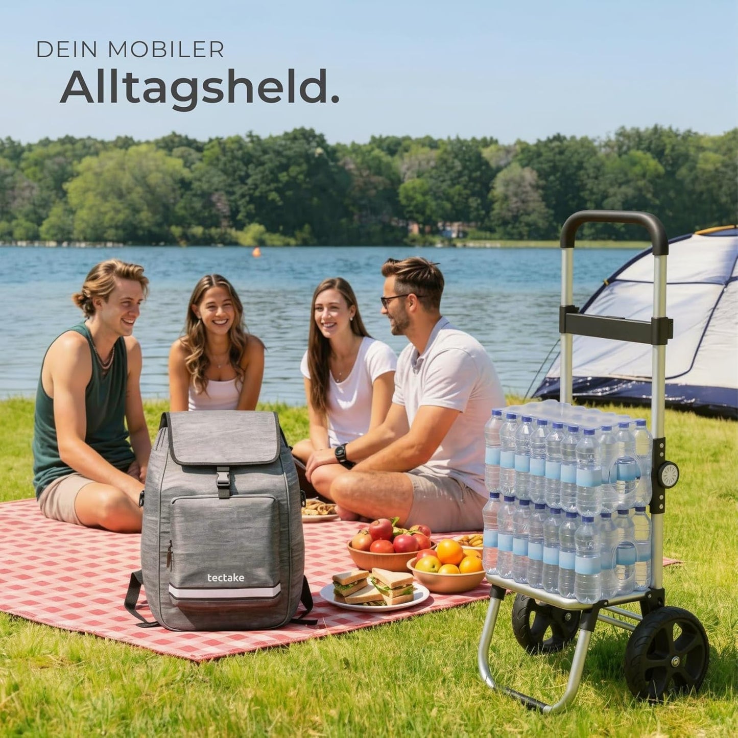 Einkaufstrolley 3-in-1, Grau