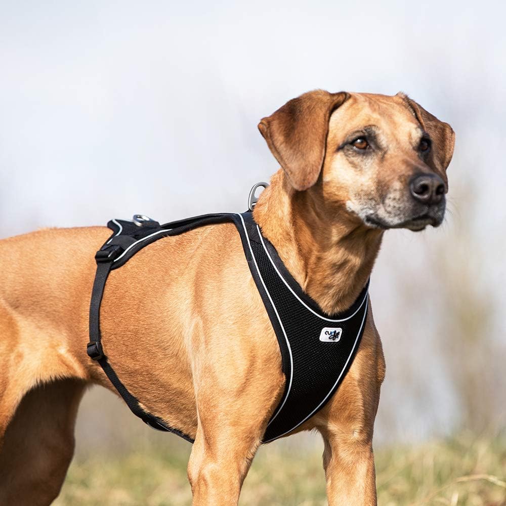 Belka Comfort Hundegeschirr, XS / schwarz