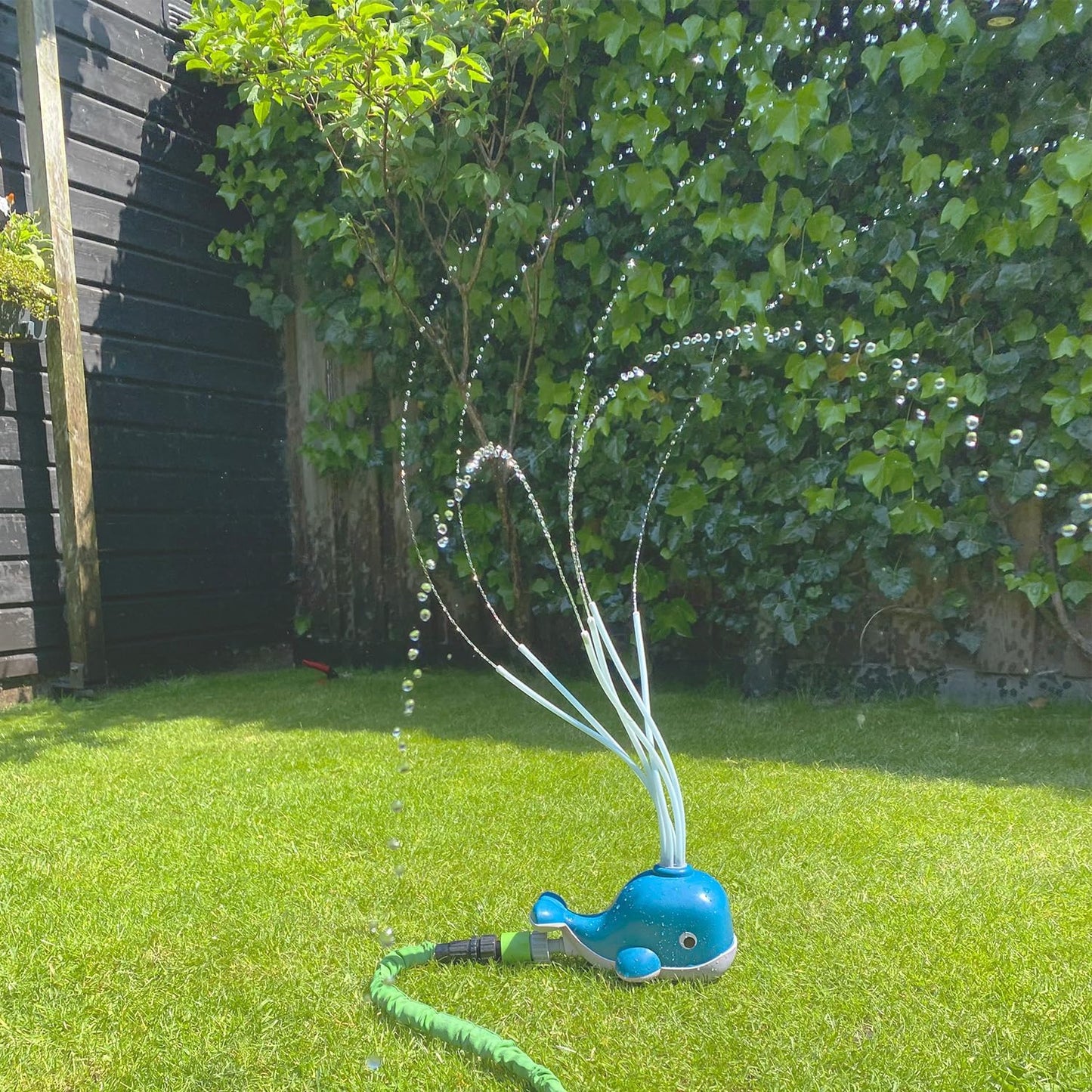 Wassersprüher Walfisch