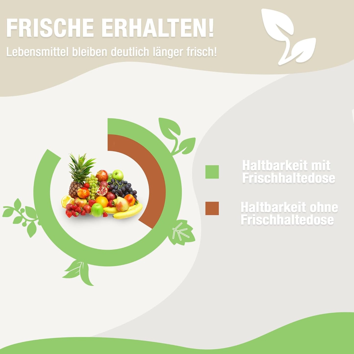 4-teiliges Frischhaltedosen-Set, 2 L | 4er Set