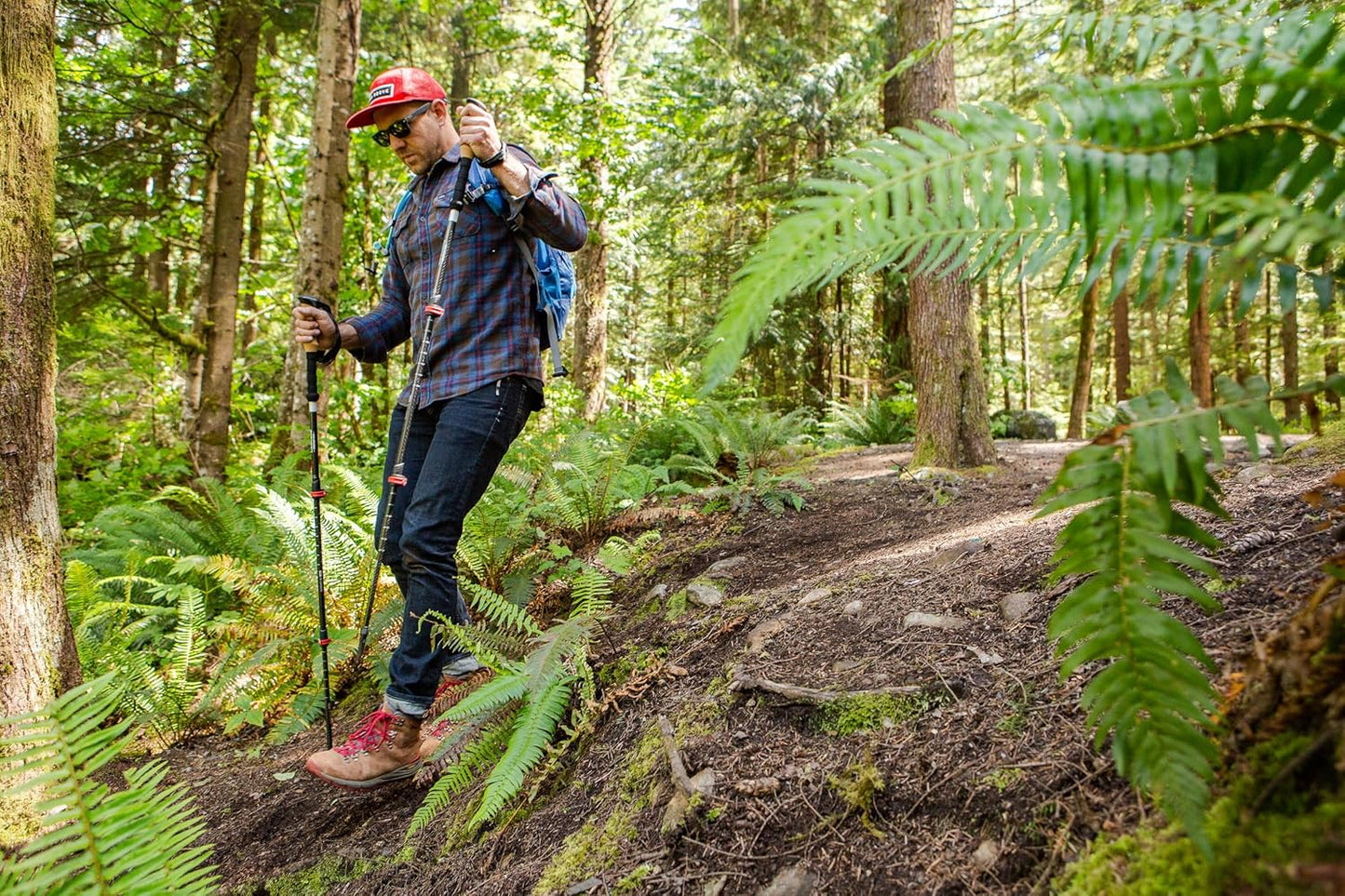 Trekkingstöcke mit Schnellverschluss, Schwarz / Cork Grip / 3K-Kohlefaser