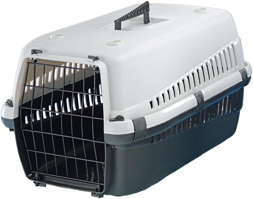 Transportbox, grau groß