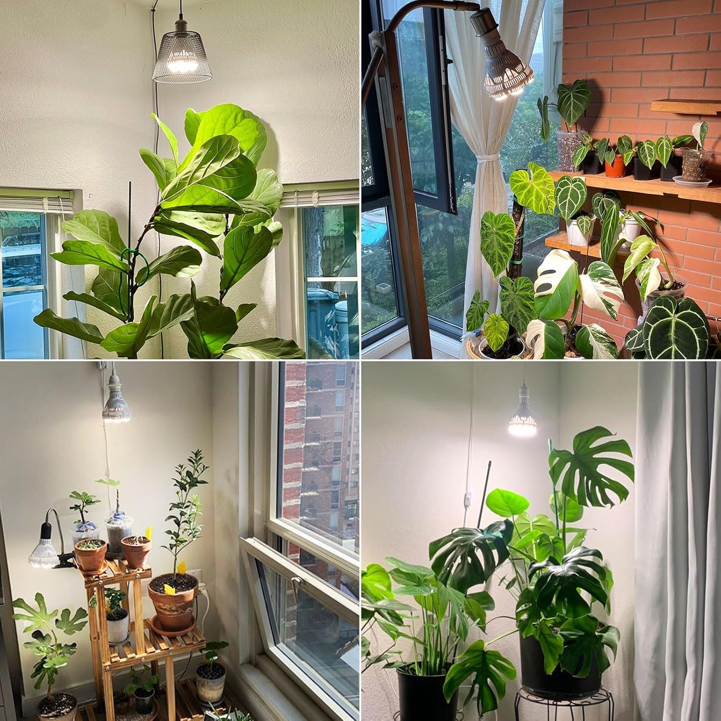 LED Pflanzenlampe Vollspektrum für Zimmerpflanzen, 40W Non-Dimmbar