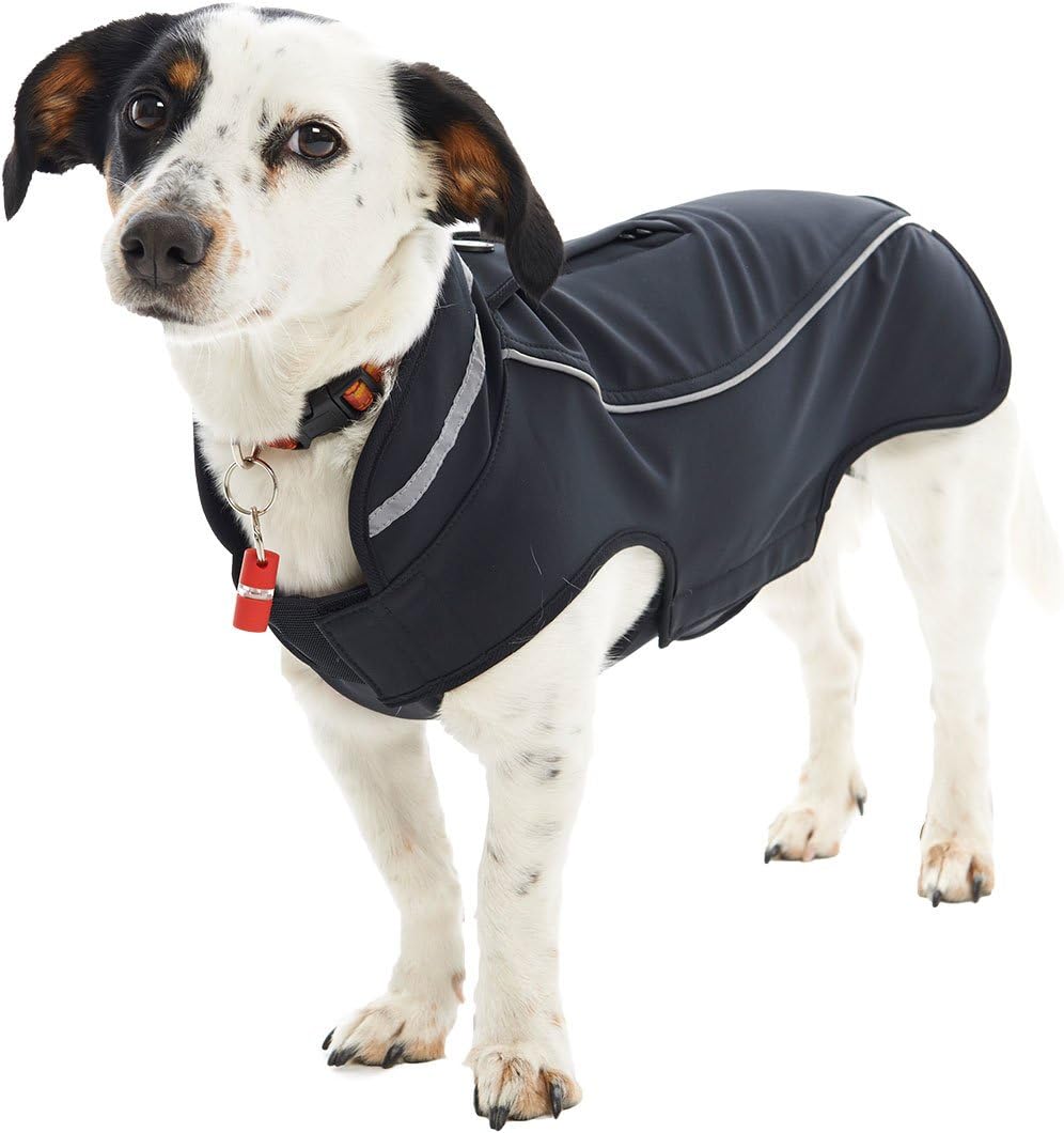 Softshell-Jacke für Hunde, Schwarz - Black Pepper Medium/Large