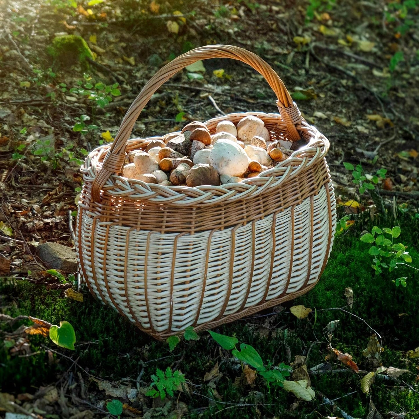 Weidenkorb für Pilze und Einkäufe, 31x26x41cm Mix