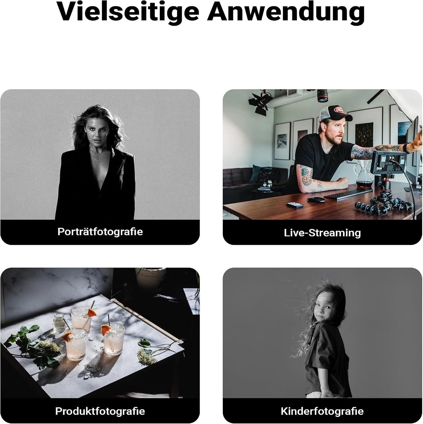 Softbox SF-60x90 mit Grid und Diffusoren