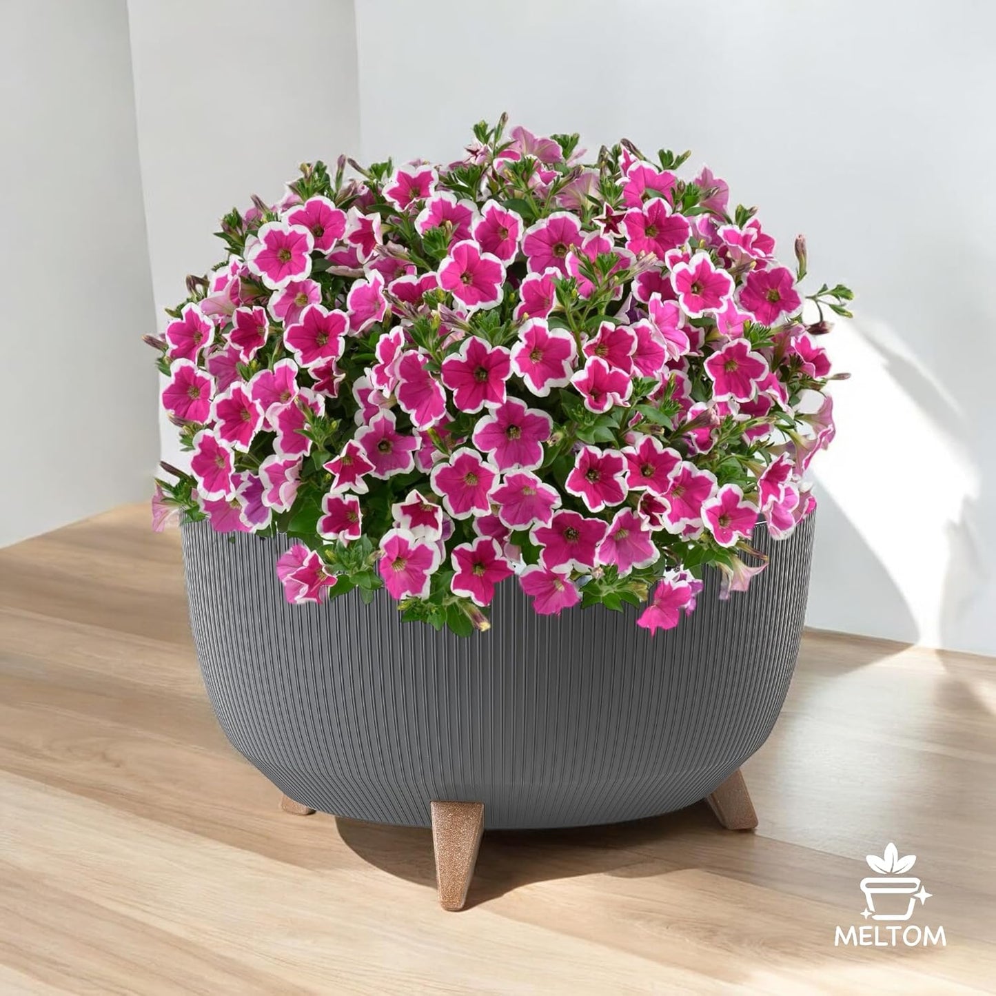 Pflanzschale mit Füssen, Anthrazit XL - 47 cm