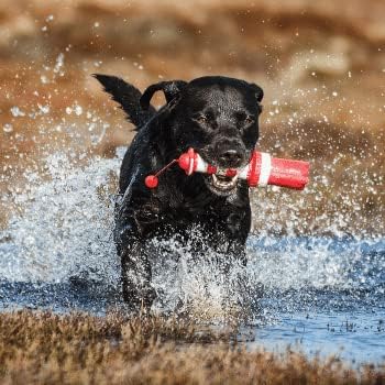Hundespielzeug Floating Leuchtturm