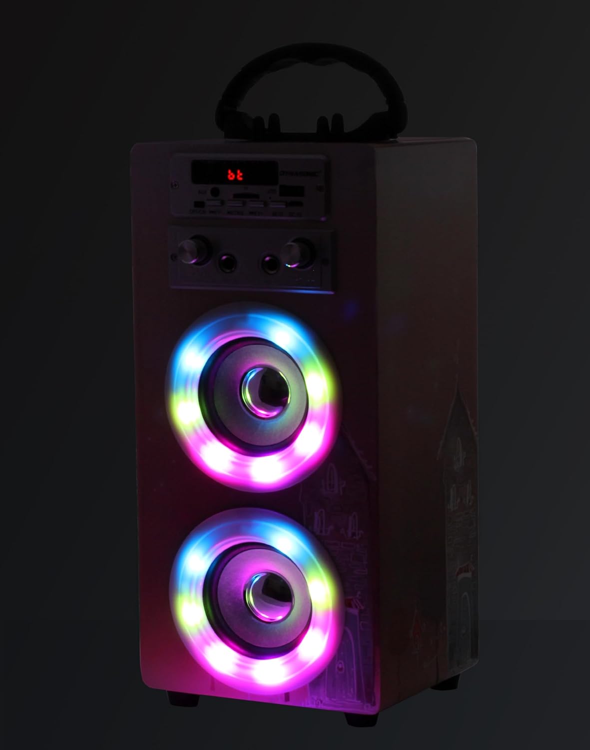 Tragbare Karaoke-Maschine mit 2 Mikrofonen, Model 19