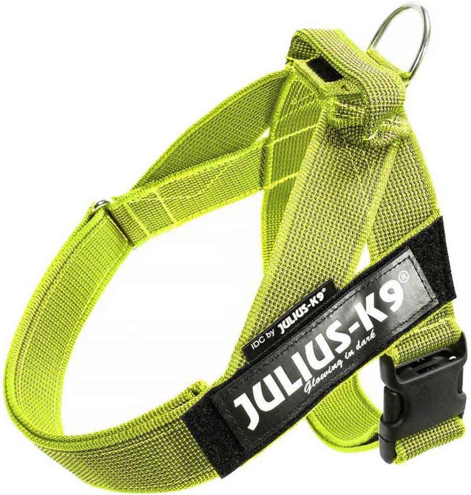 Hundegeschirr, L / Grösse 1 neon-grau