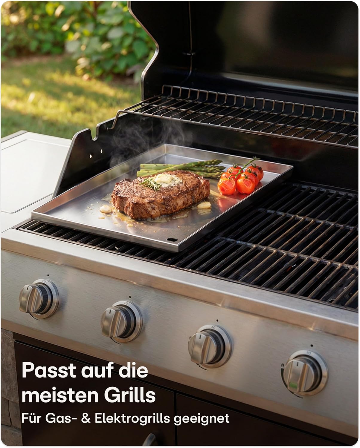 Plancha Grillplatte