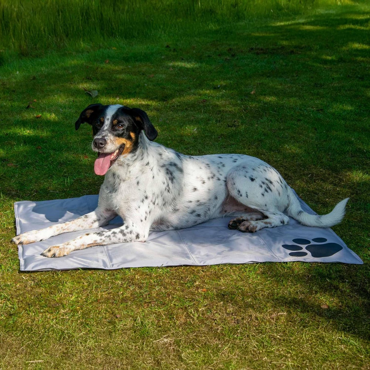 Selbstkühlende Hundematte mit Pfotenmuster, Grau