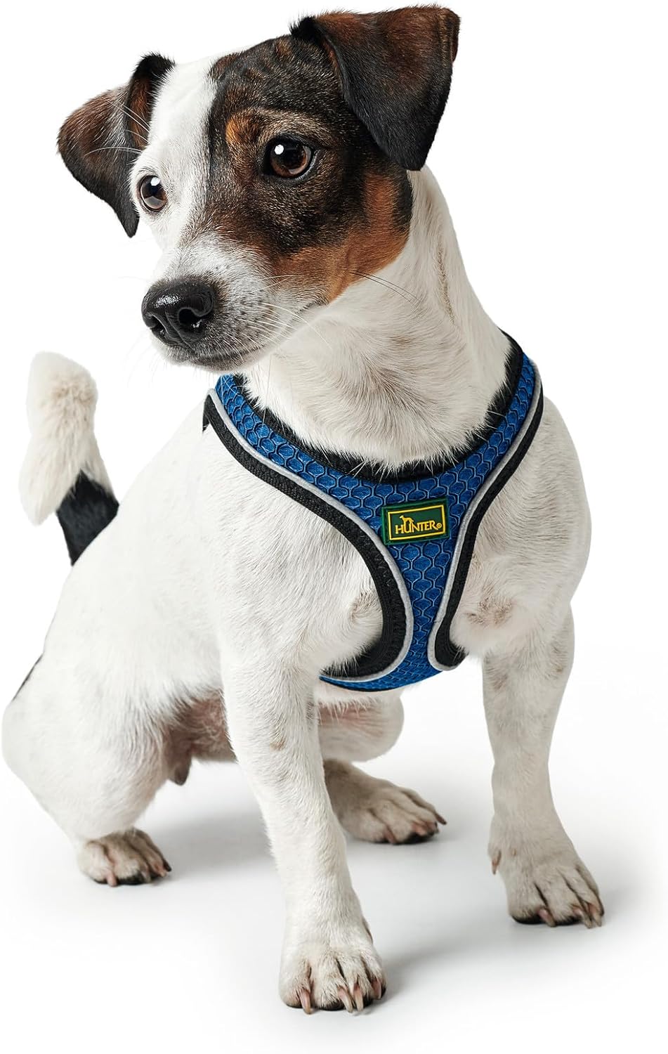 Hundegeschirr Hilo Comfort, blau XXS-XS