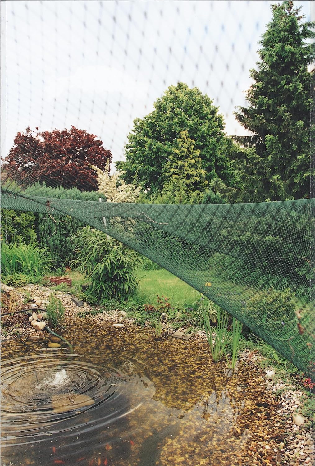 AquaNet 2, 4 x 8 m Single