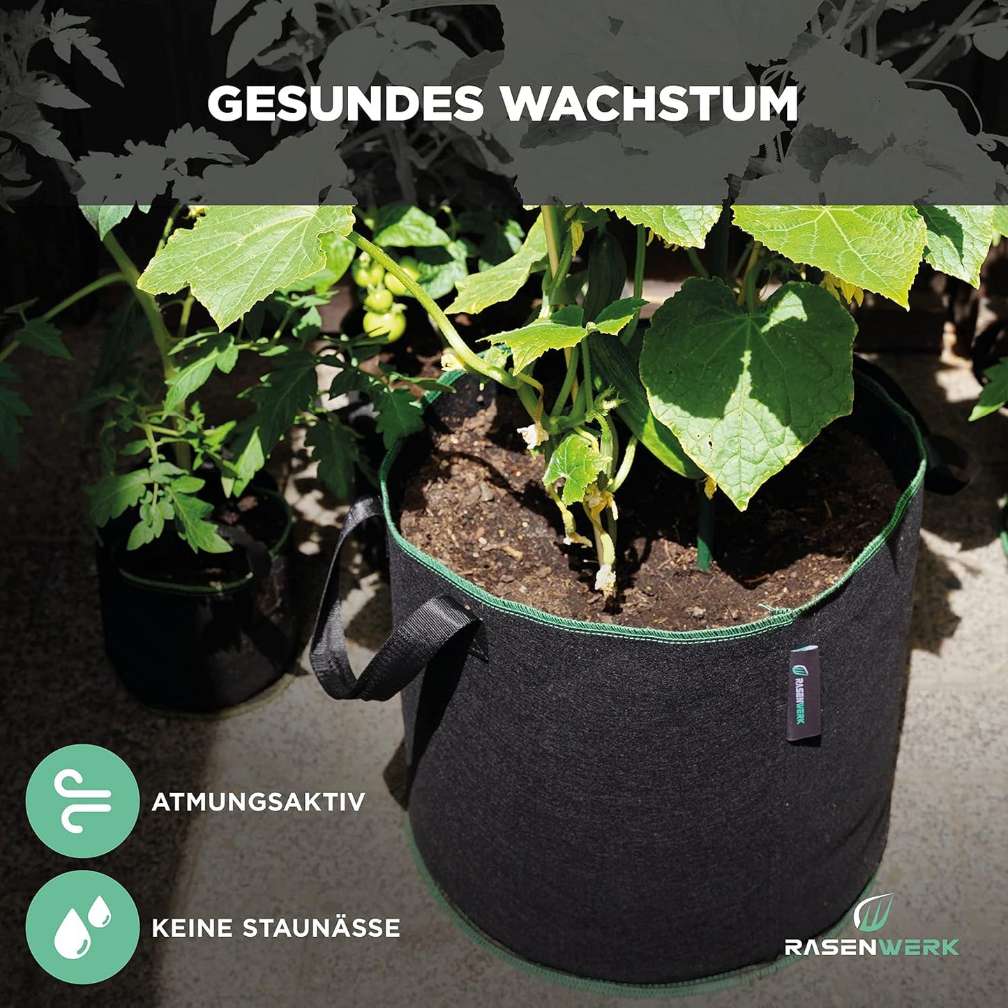 5er-Set Pflanztaschen, 20 Liter