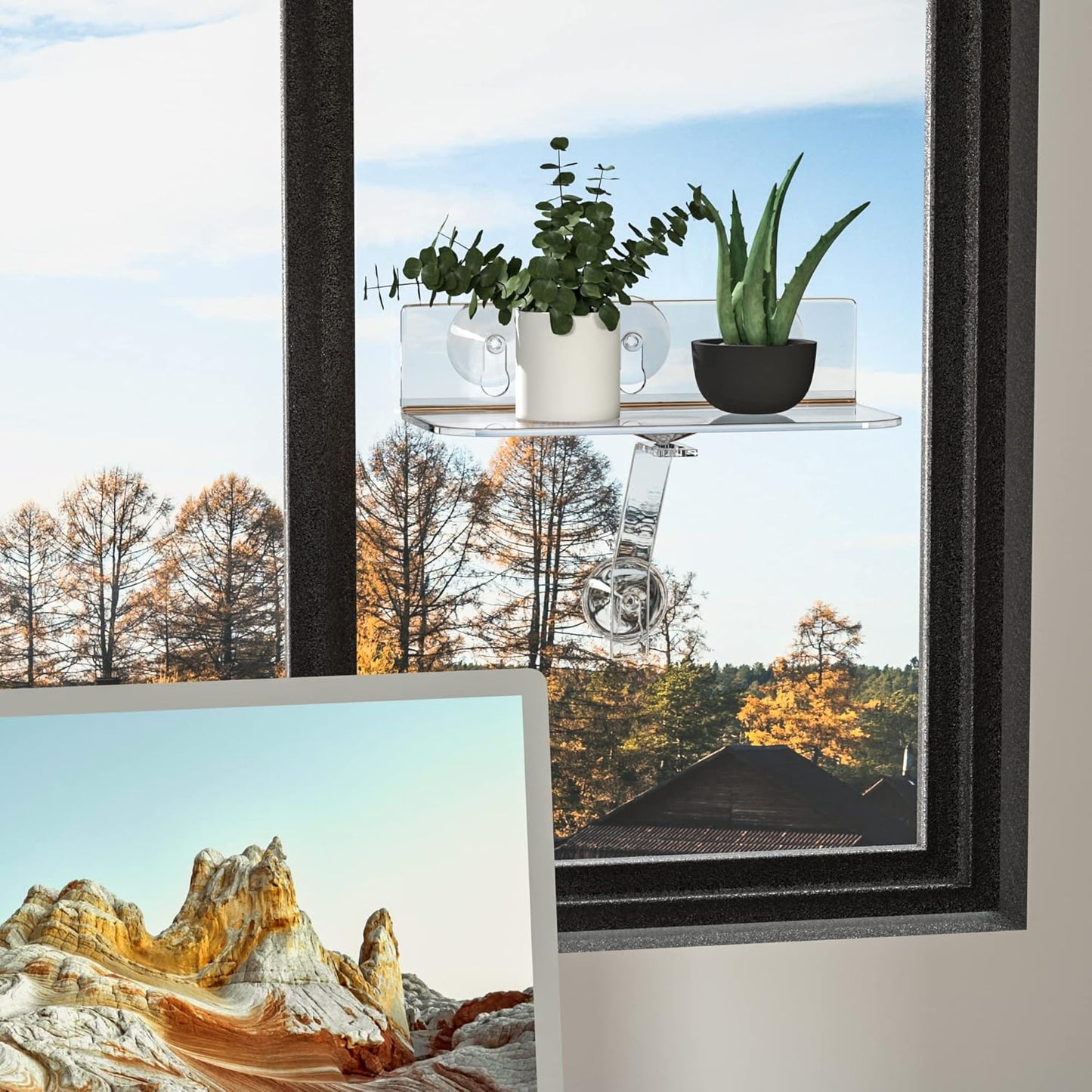 Pflanzenregal-Set für Fenster, 2
