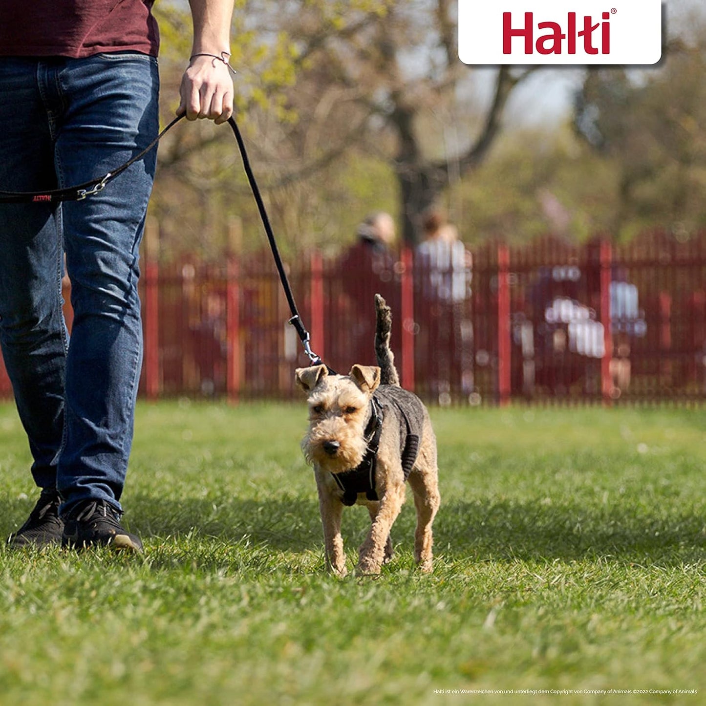 Halti No Pull Anti-Zug Hundegeschirr, Klein