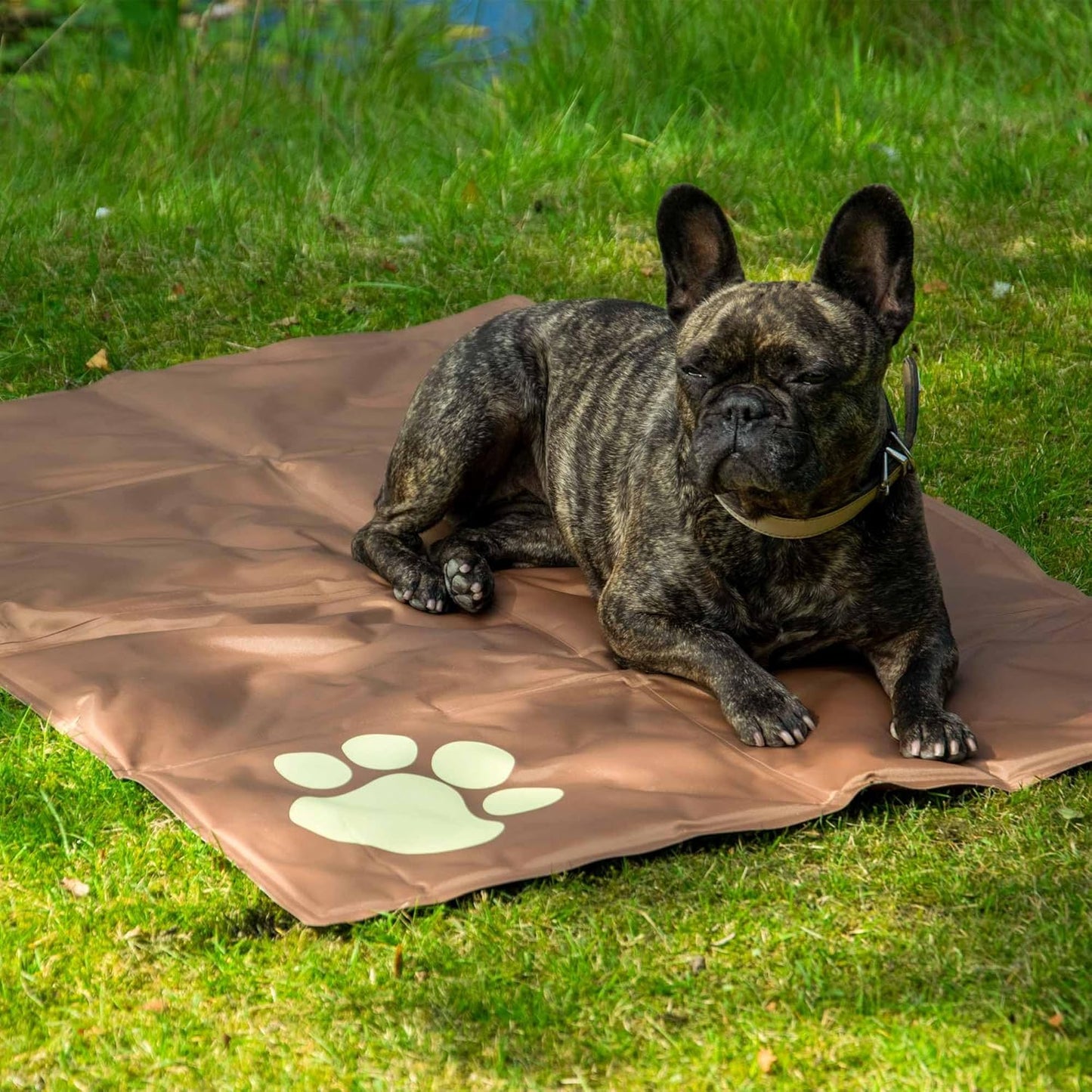 Selbstkühlende Hundematte mit Pfotenmuster, Braun