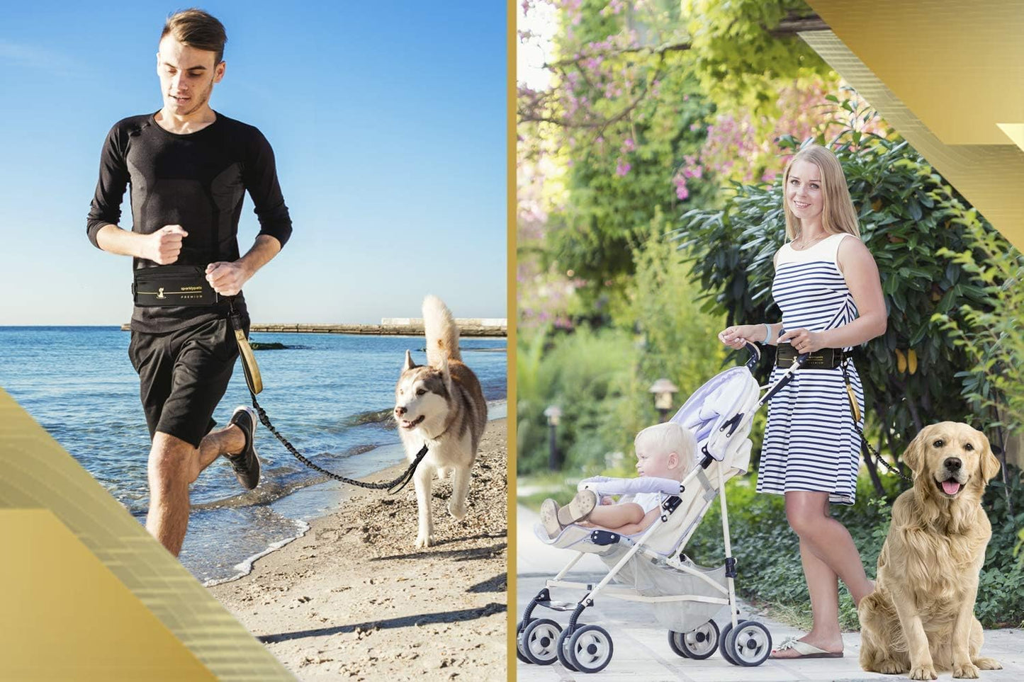 2 in 1 Joggingleine für Hunde mit Doppelgriff, Stossdämpfer und Bauchgurt, Premium-Gold Für ein Hund