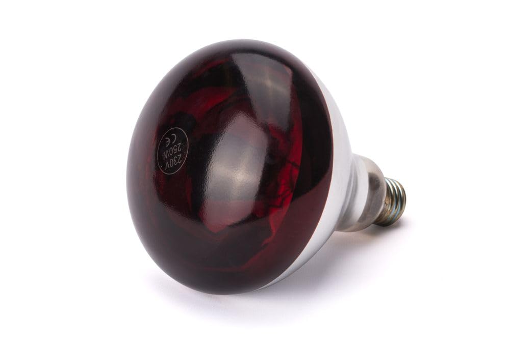 Infrarotlampe für Speisenwärmer E27 Fassung, Rot Infrarotlampe Single