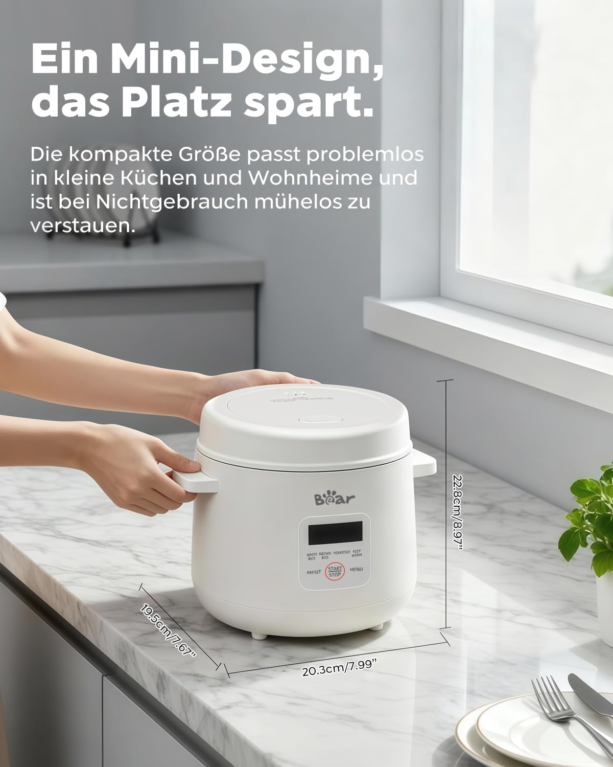 Elektrischer Mini-Reiskocher
