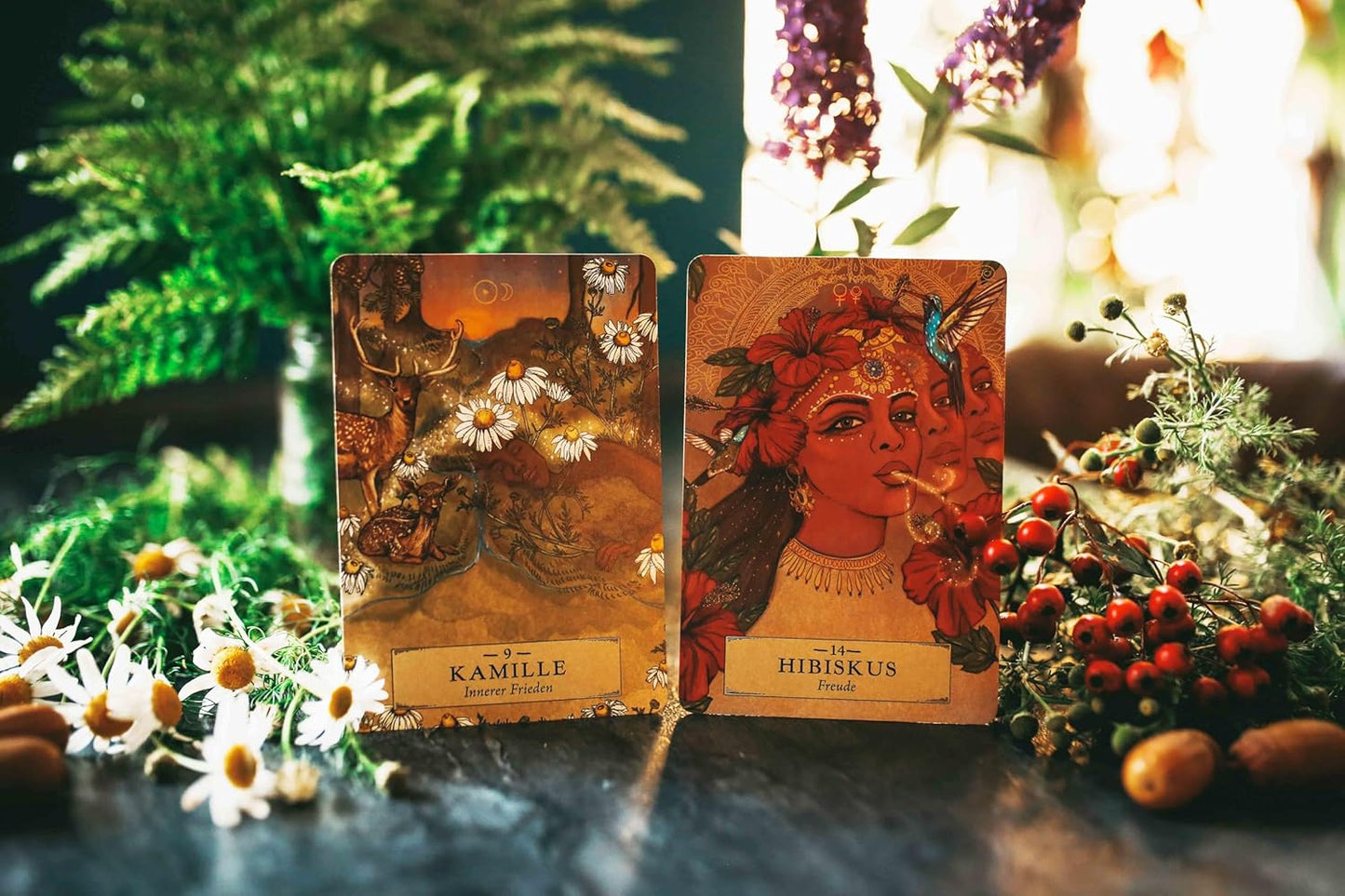 Orakelkarten-Set Herbal Astrology, Gebundenes Buch