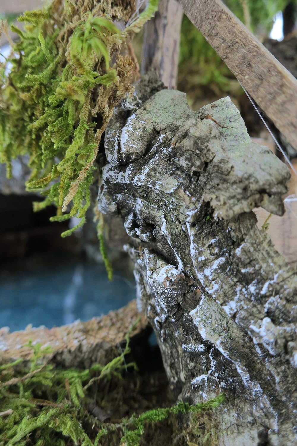 Kleiner See in Einer Höhle