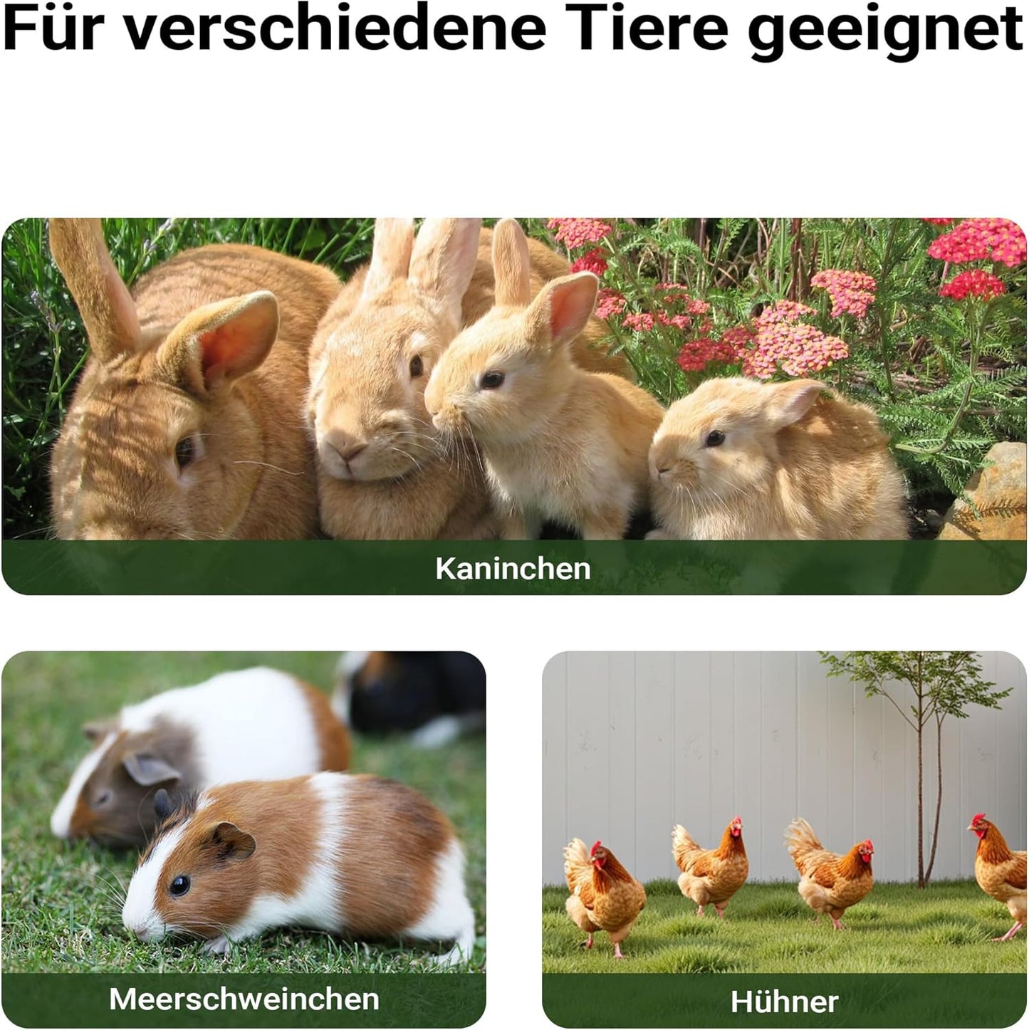 XXL Hasenstall mit Freilaufgehege, L 156 x B 52 x H 68 cm