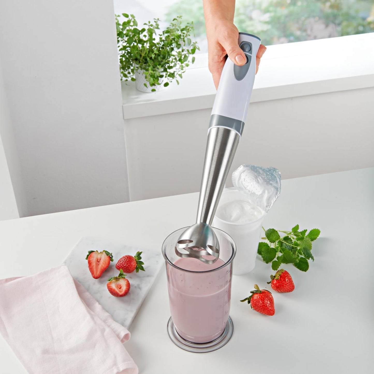 Stabmixer Edelstahl