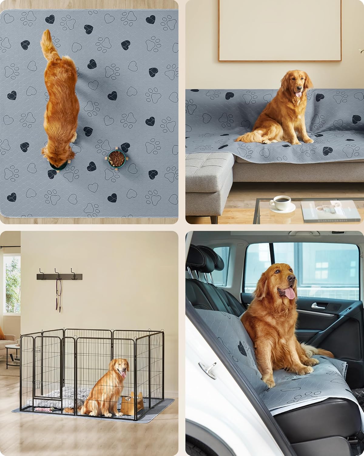 2er-Set Waschbare Hundematten, XXXL, XXXL (183 x 183 cm)