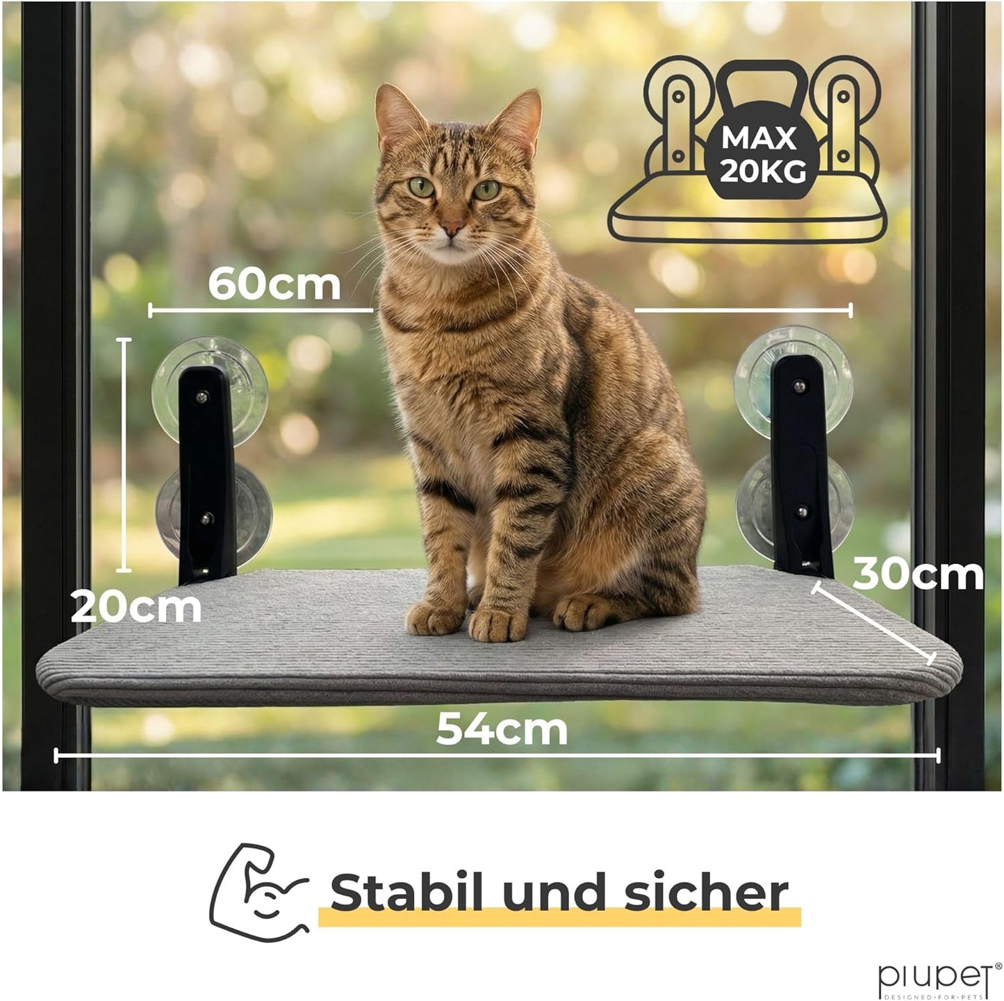 Schwebende Katzenfensterliege mit Saugnäpfen, Grau Gross