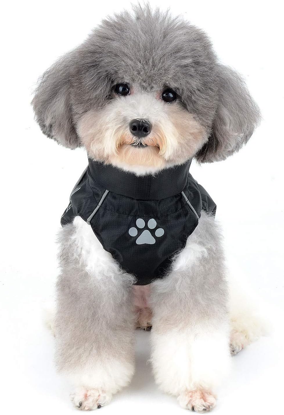 Regenmantel für kleine Hunde, 2XL (1er Pack) Grün