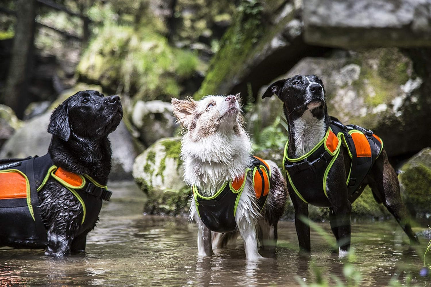 IDC multifunktionale Hundeweste 3in1, S Schwarz und Neon